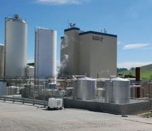 Burra Foods sells majority stake to Chinese company